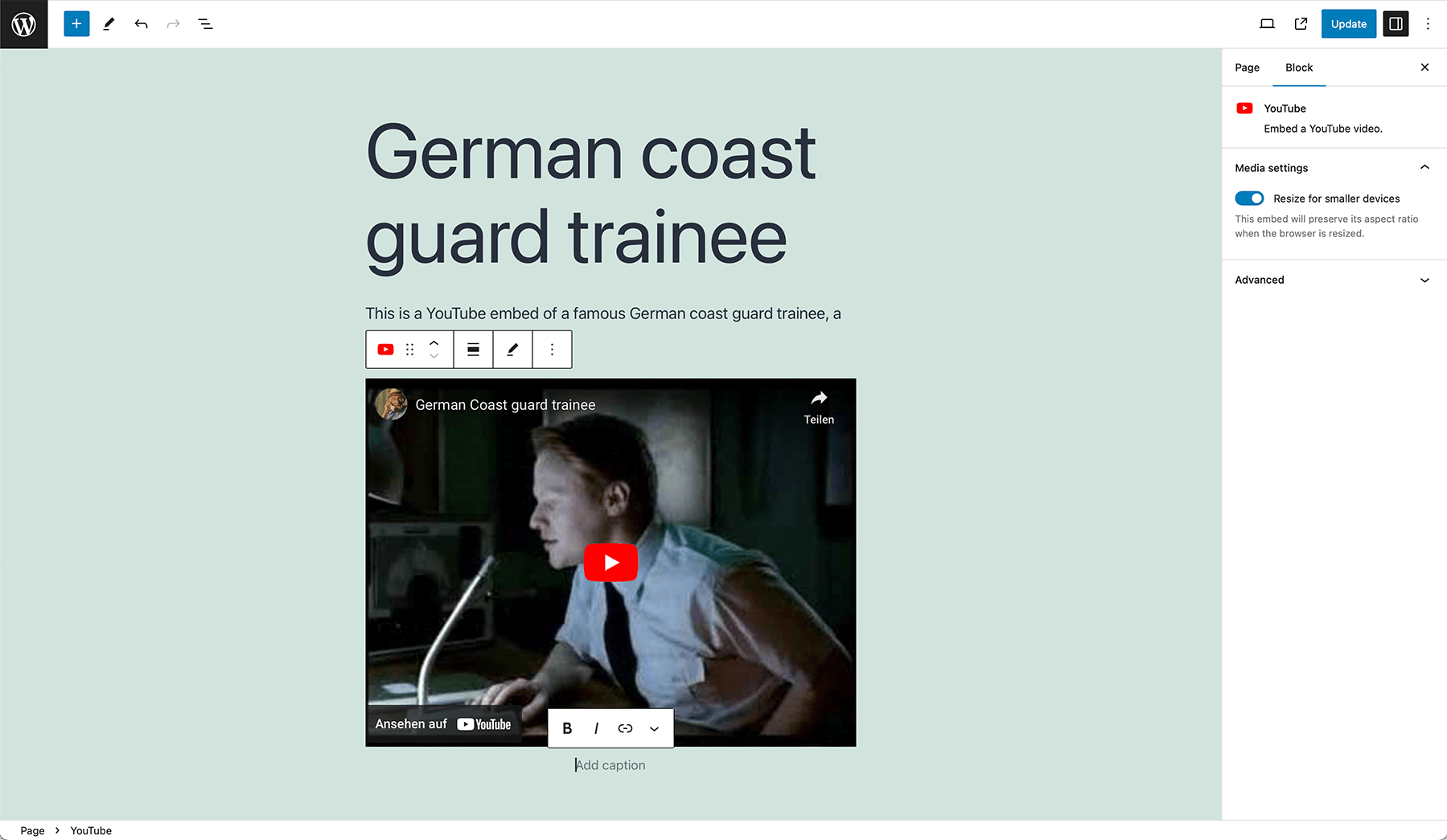 Add embeds using the classic editor or the block editor's embed blocks.