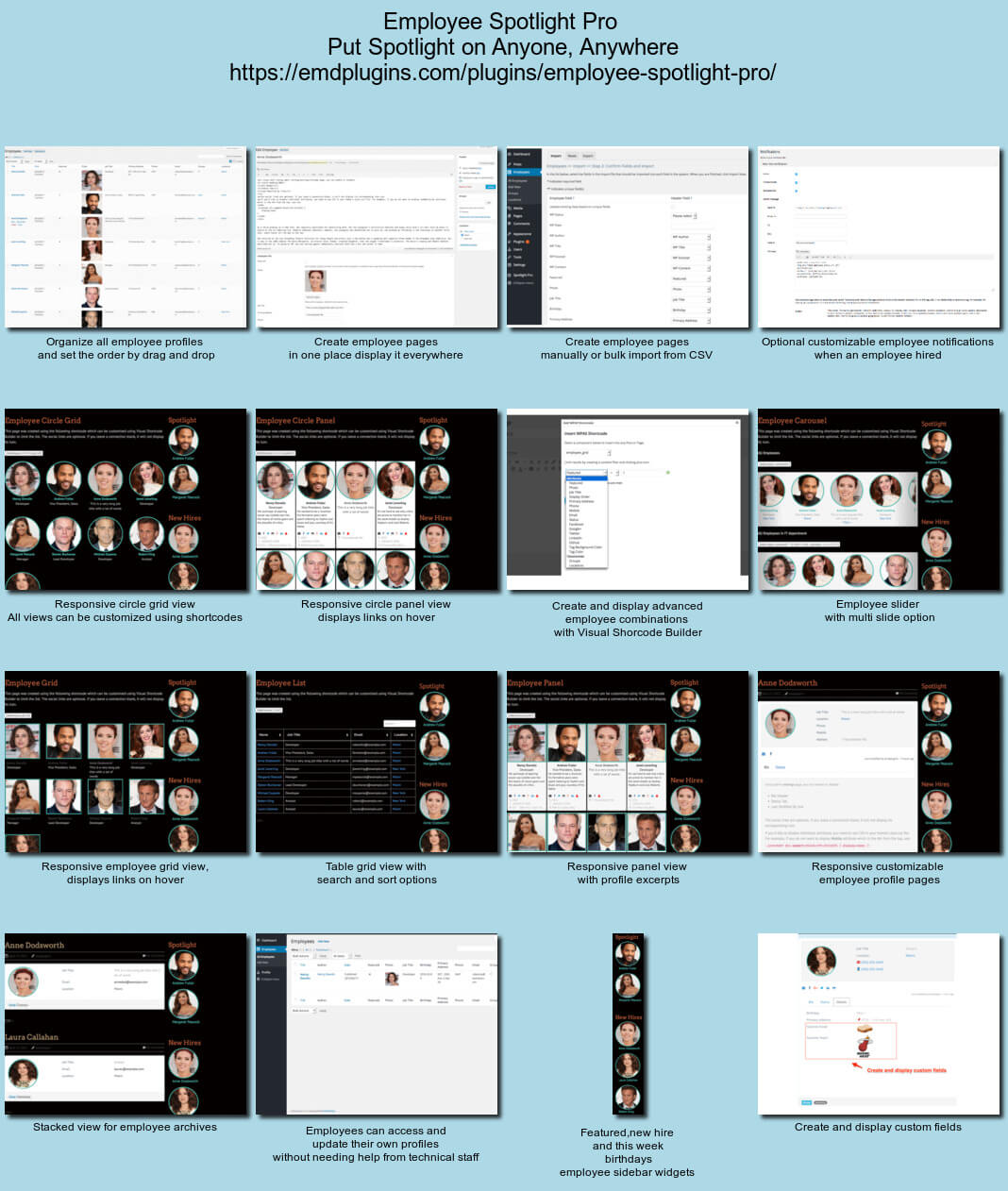 <a href="https://emdplugins.com/plugins/employee-spotlight-wordpress-plugin/">Employee Spotlight</a> Put spotlight on your employee anytime, anywhere