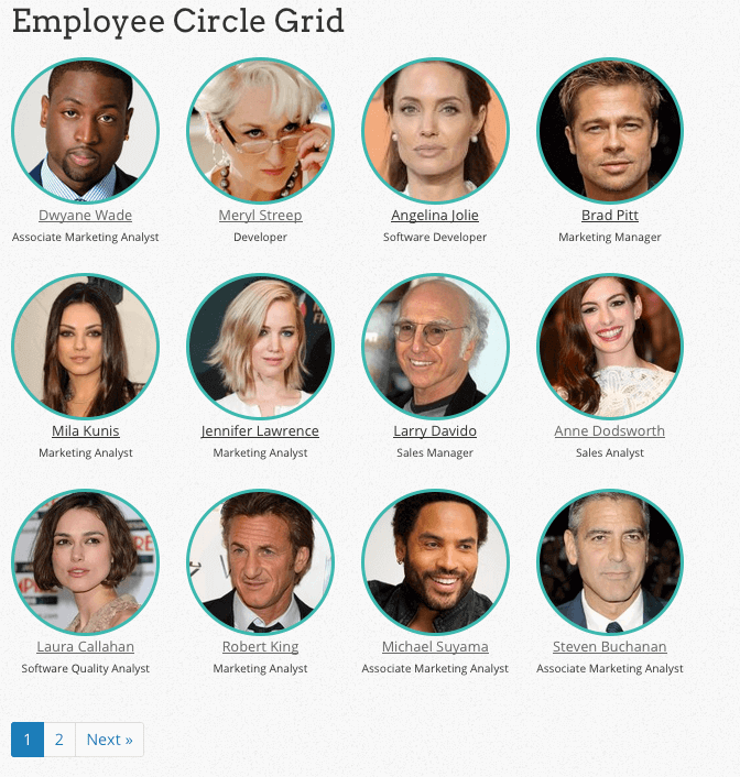 Employee circle grid view with page navigation. Border can be changed or disabled from Plugin Settings page. When border color changes, it changes in every view.