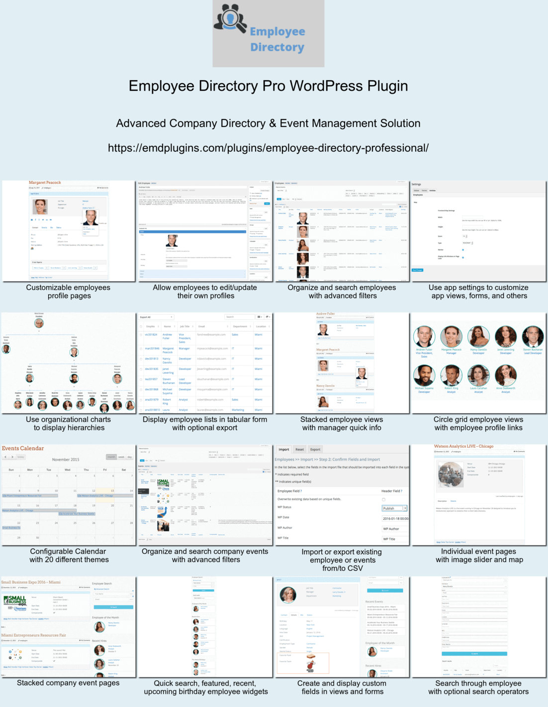 <a href="https://emdplugins.com/plugins/employee-directory-wordpress-plugin">Employee Directory Pro Edition</a> is the most advanced company directory and event management solution ever built for WordPress - designed and developed without writing single line of PHP code