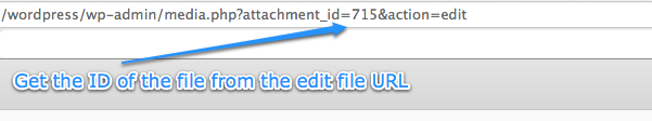 Get the file ID in the edit file URL