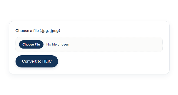 The live converter form on a published page, with the file picker and Convert button.