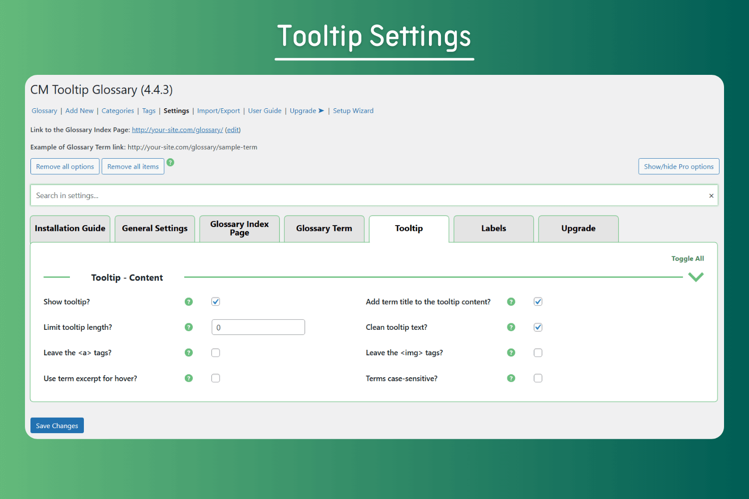 Tooltip Settings