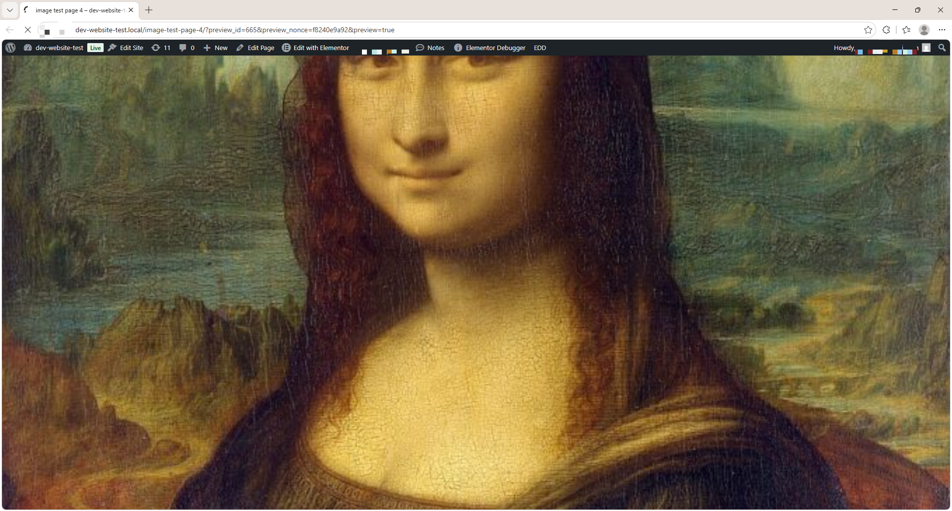 In-page fullscreen mode showing an enlarged image over the current page.