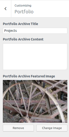 Customizer: Portfolio Archive Options