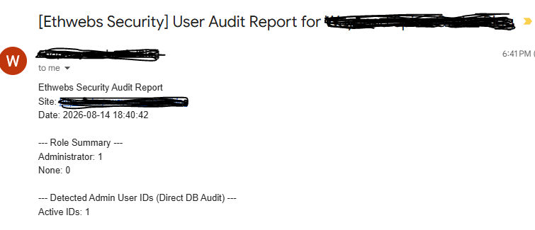 Setup Email Report: Sample security audit report email received with live user role summary and subject line count preview.