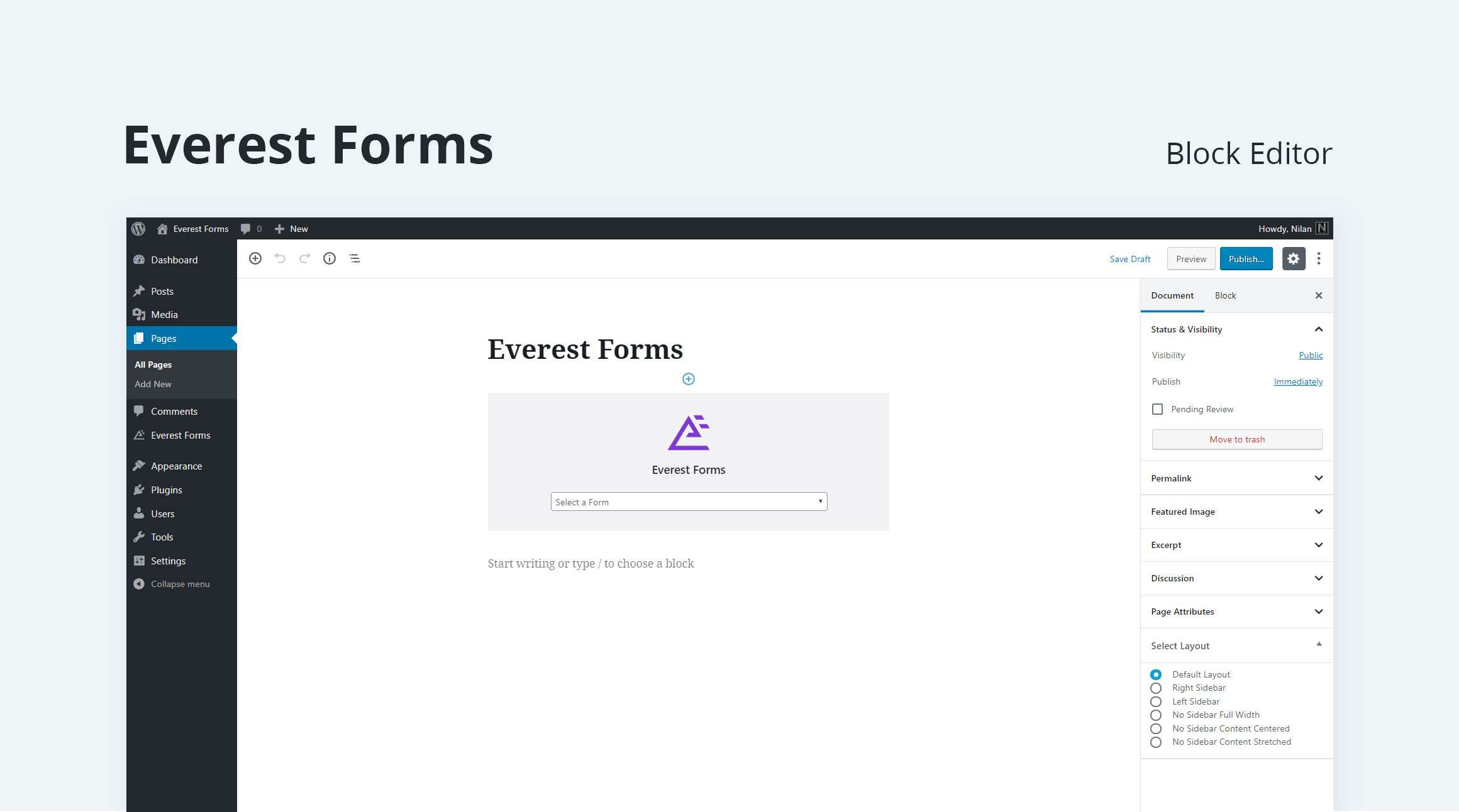 Everest Forms – Contact Form, Quiz, Survey, Newsletter & Payment Form Builder for WordPress