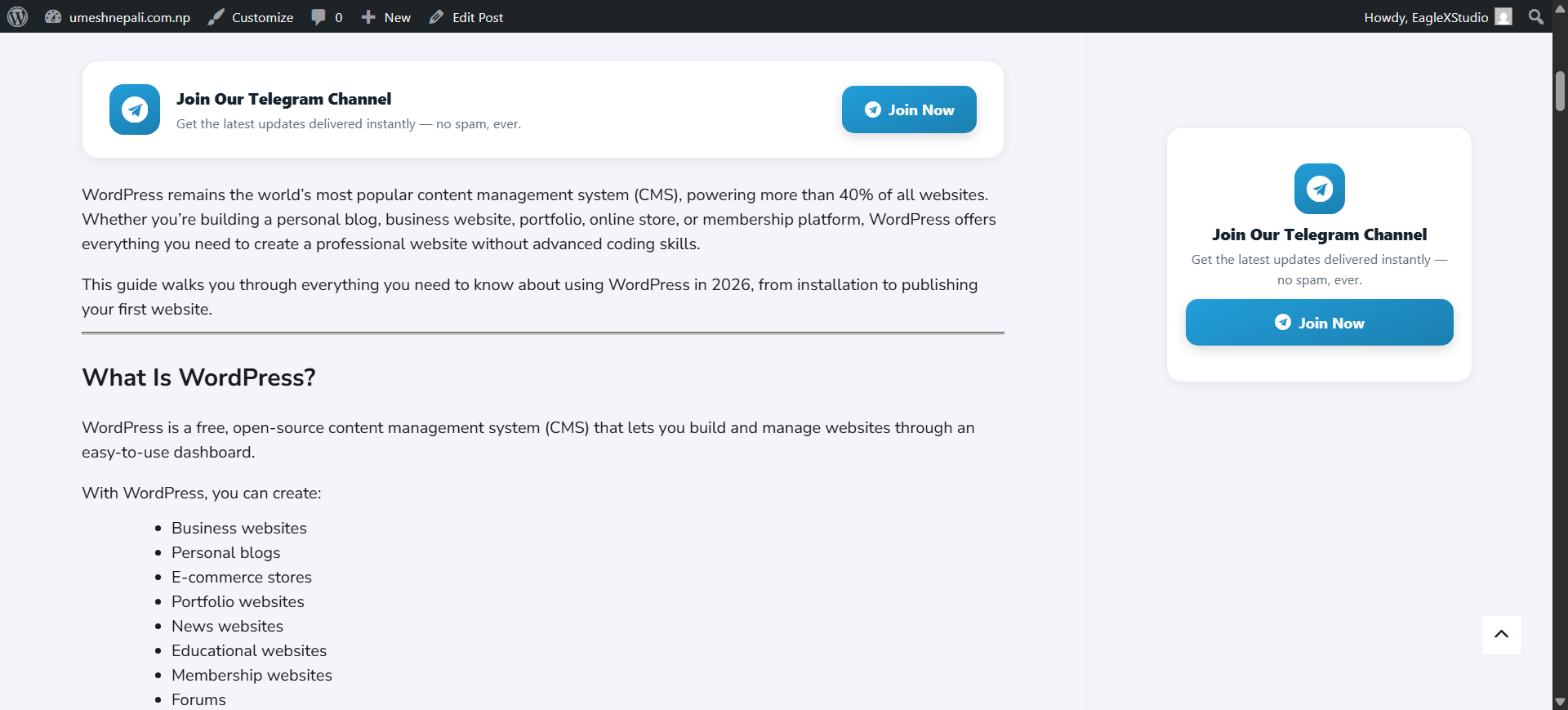 Banner-style widget shown before a post and sidebar widget.