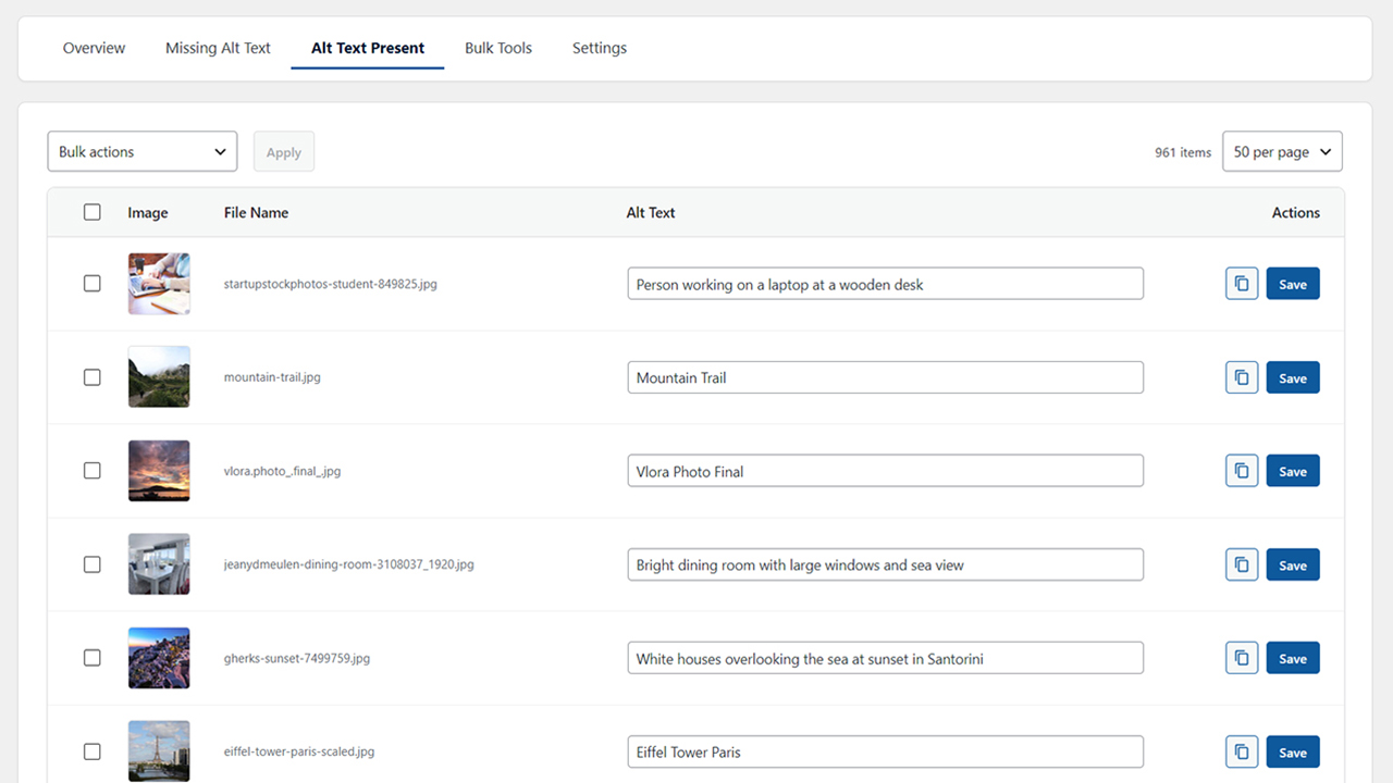 Alt Text Present view for reviewing and editing existing alt text.