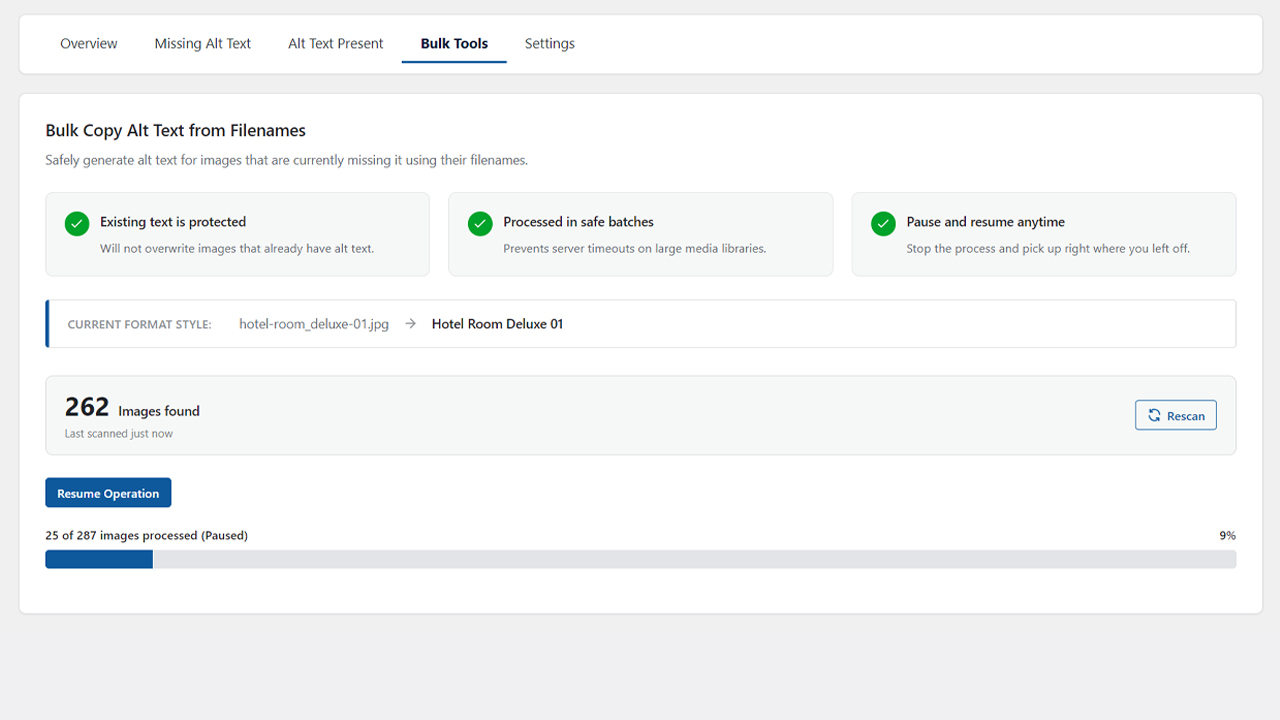 Bulk Tools showing the library scan, filename formatting preview, safety indicators, and batch processing controls.