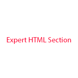 Expert HTML Section Icon