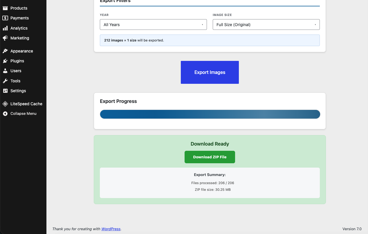 Download ready with export summary