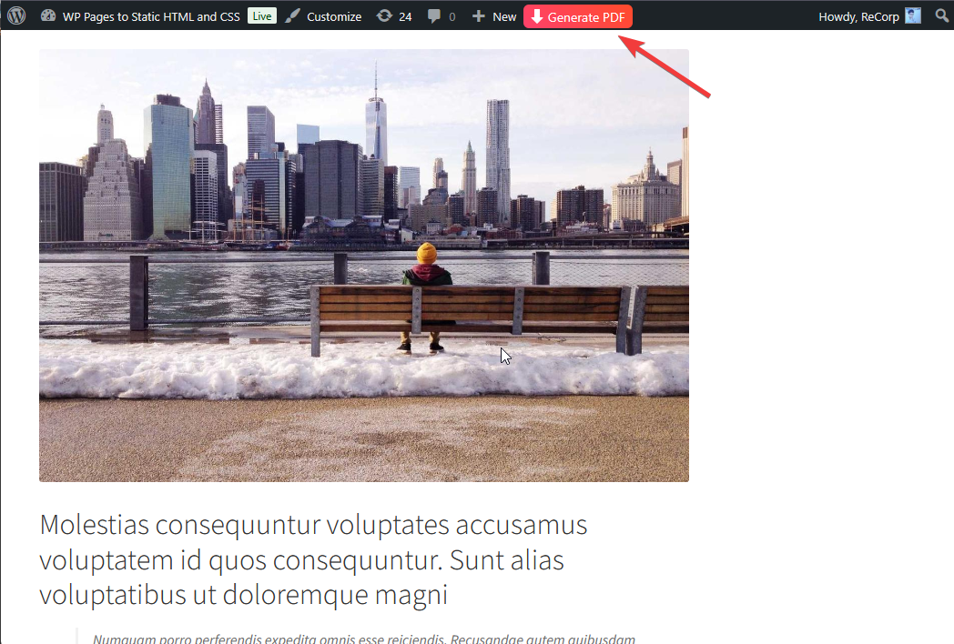 PDF generation button in the admin bar of a post.
