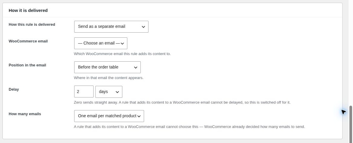 The rule editor — delivery mode, delay and the choice between one message per
order and one per matched product.