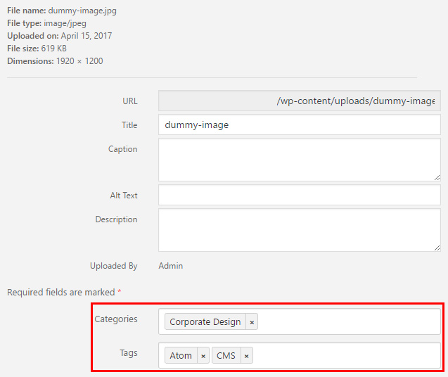 Assign one or more taxonomies to an attachment