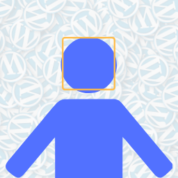 Face Detection