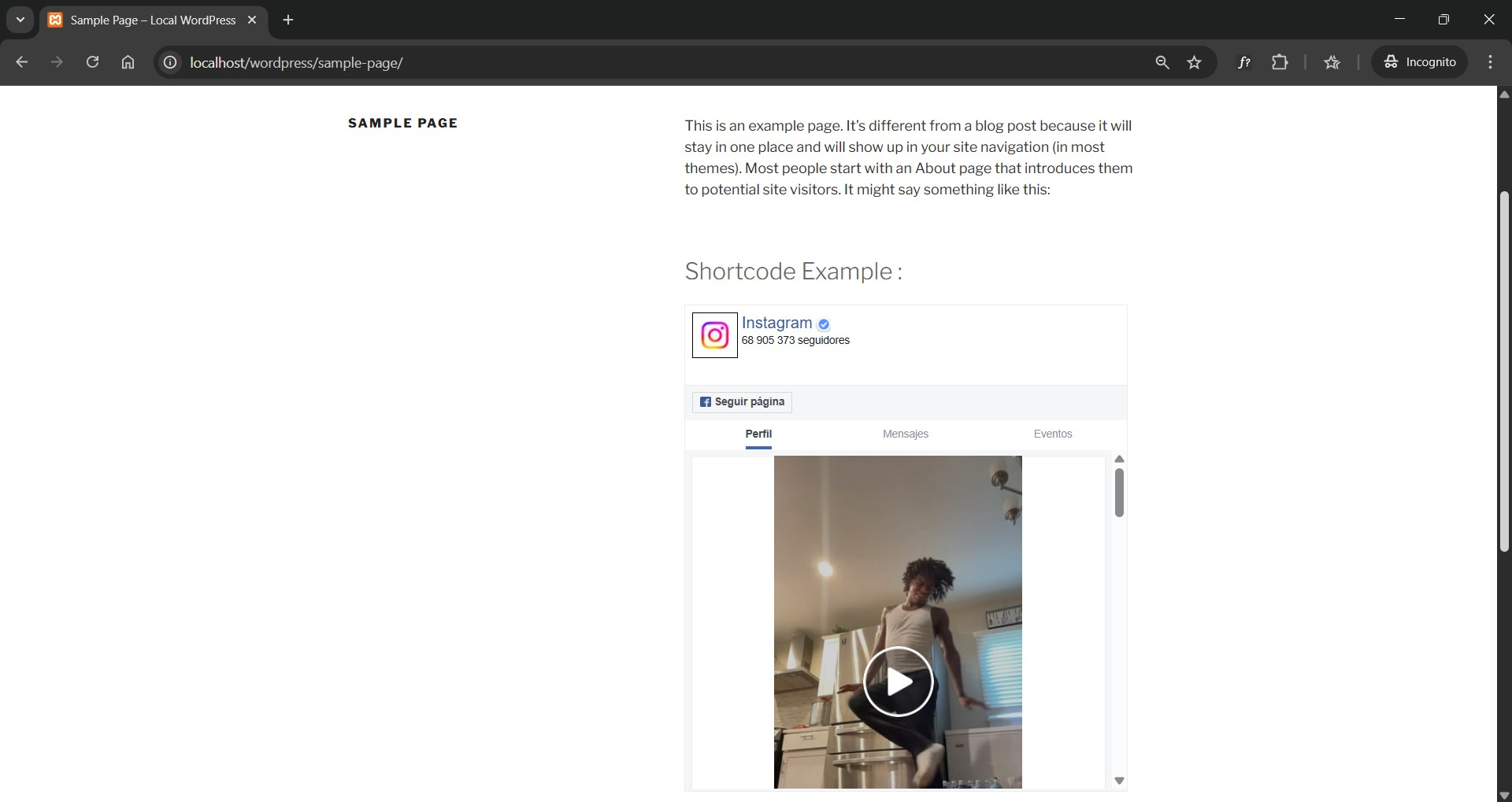 screenshot-4.png - Shortcode Display: Shows the frontend appearance of the plugin when used as a shortcode in a Post or Page.