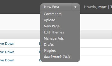 An example of a customized Favorite Actions menu. Note the "Bookmark This" link at the bottom for easily adding new links.