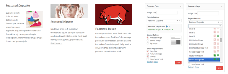 feature-a-page-widget