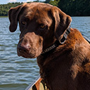 Featured Background logo