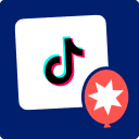 Feeds for TikTok (TikTok video, account, and gallery plugin) Icon