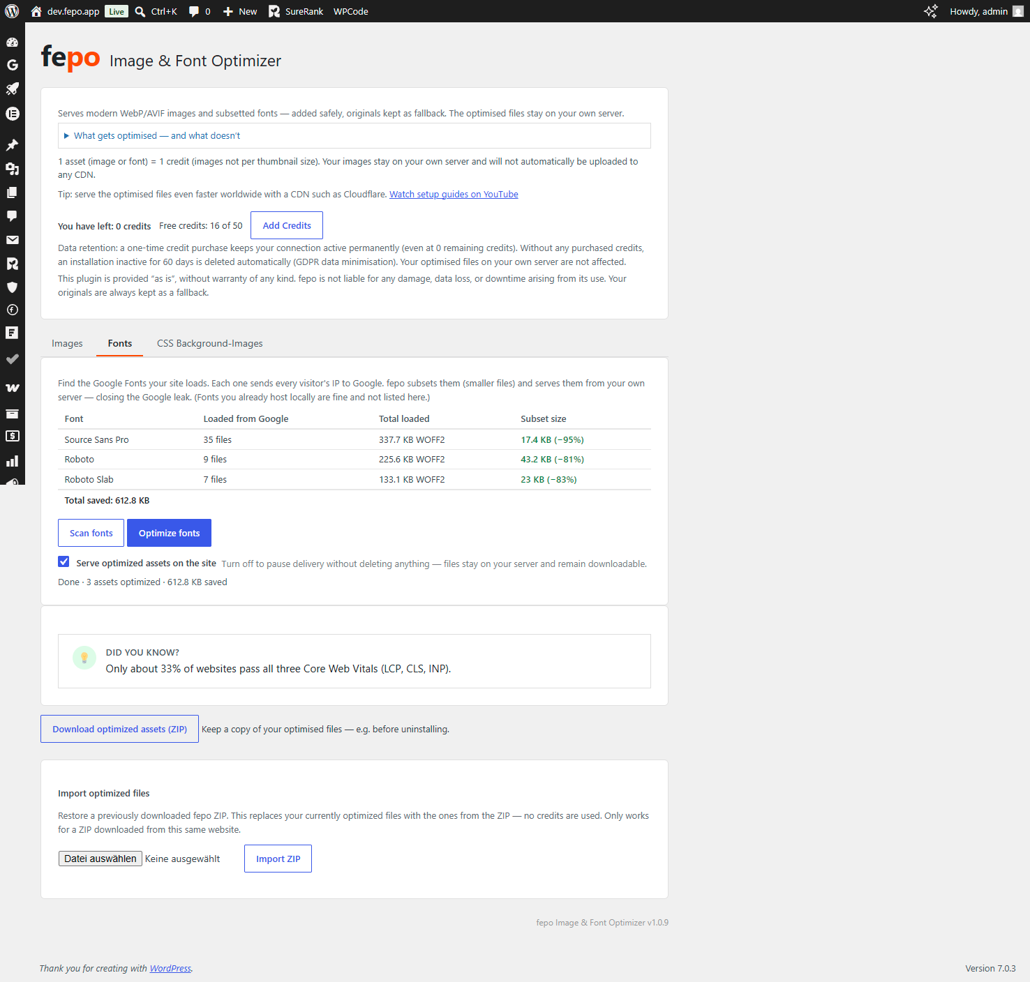 The Fonts tab — detected Google Fonts and the download-size saving from subsetting.