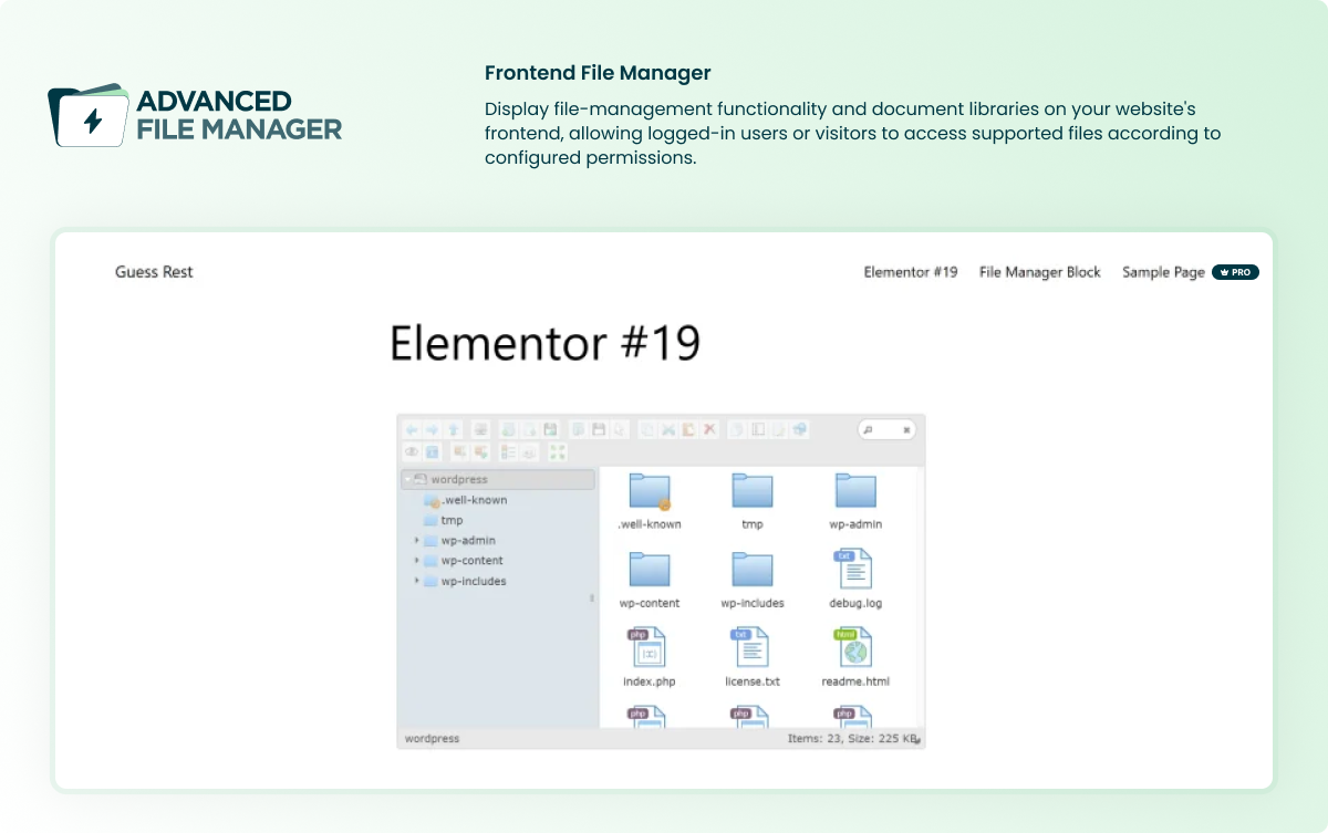 Frontend Block Preview.