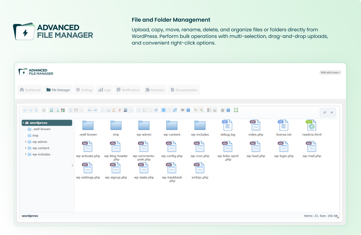 File and Folder Management.