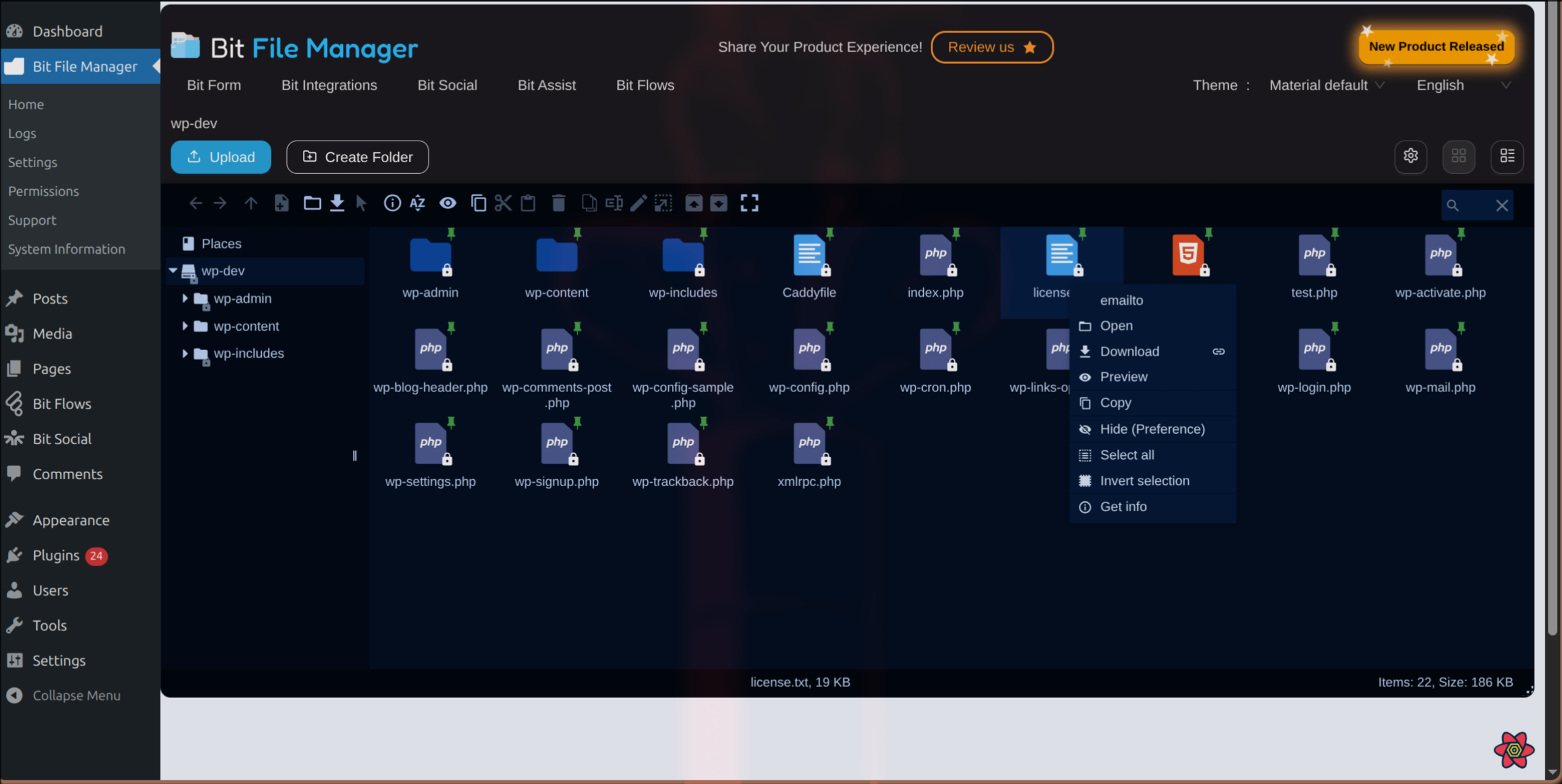 Emailing File