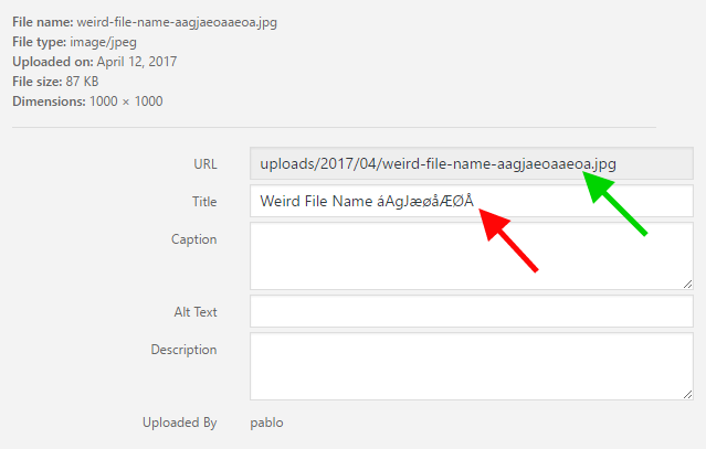 An exemple of a sanitized filename in Media Library