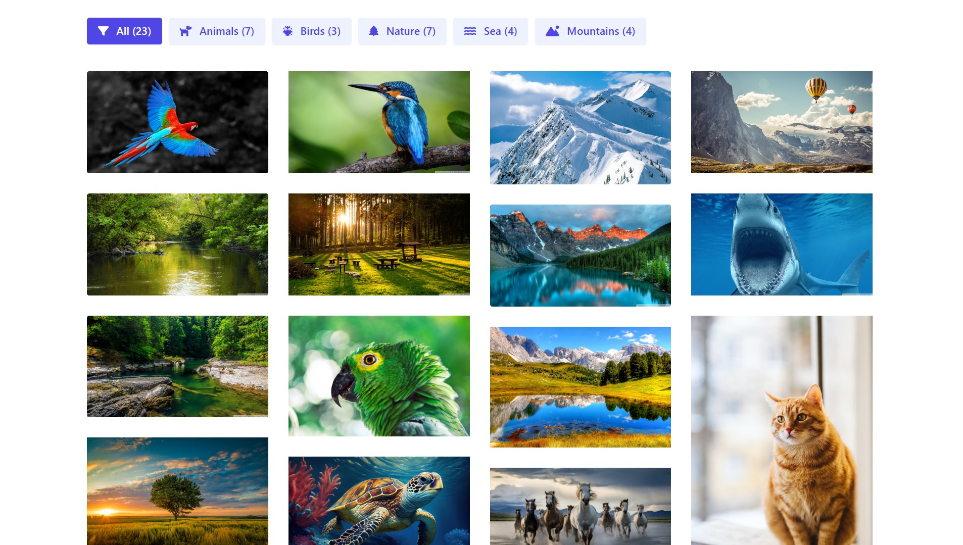Filter Gallery: Frontend Preview