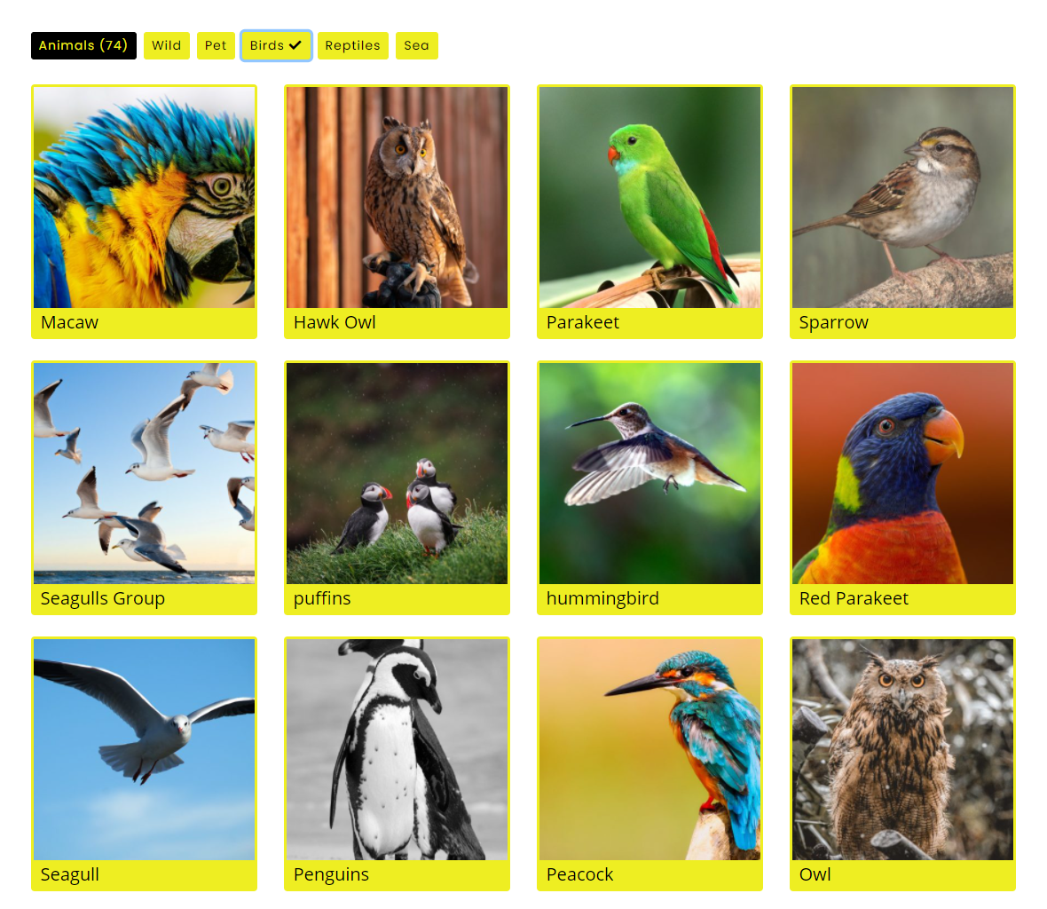 Birds Gallery with Filter Buttons