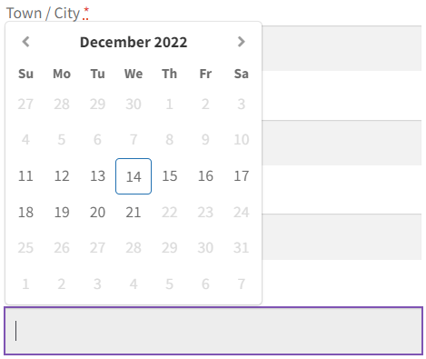 Custom date picker with advanced options (PRO)