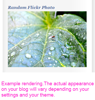 This shows the rendering of the Widget in the sidebar of a WP blog.