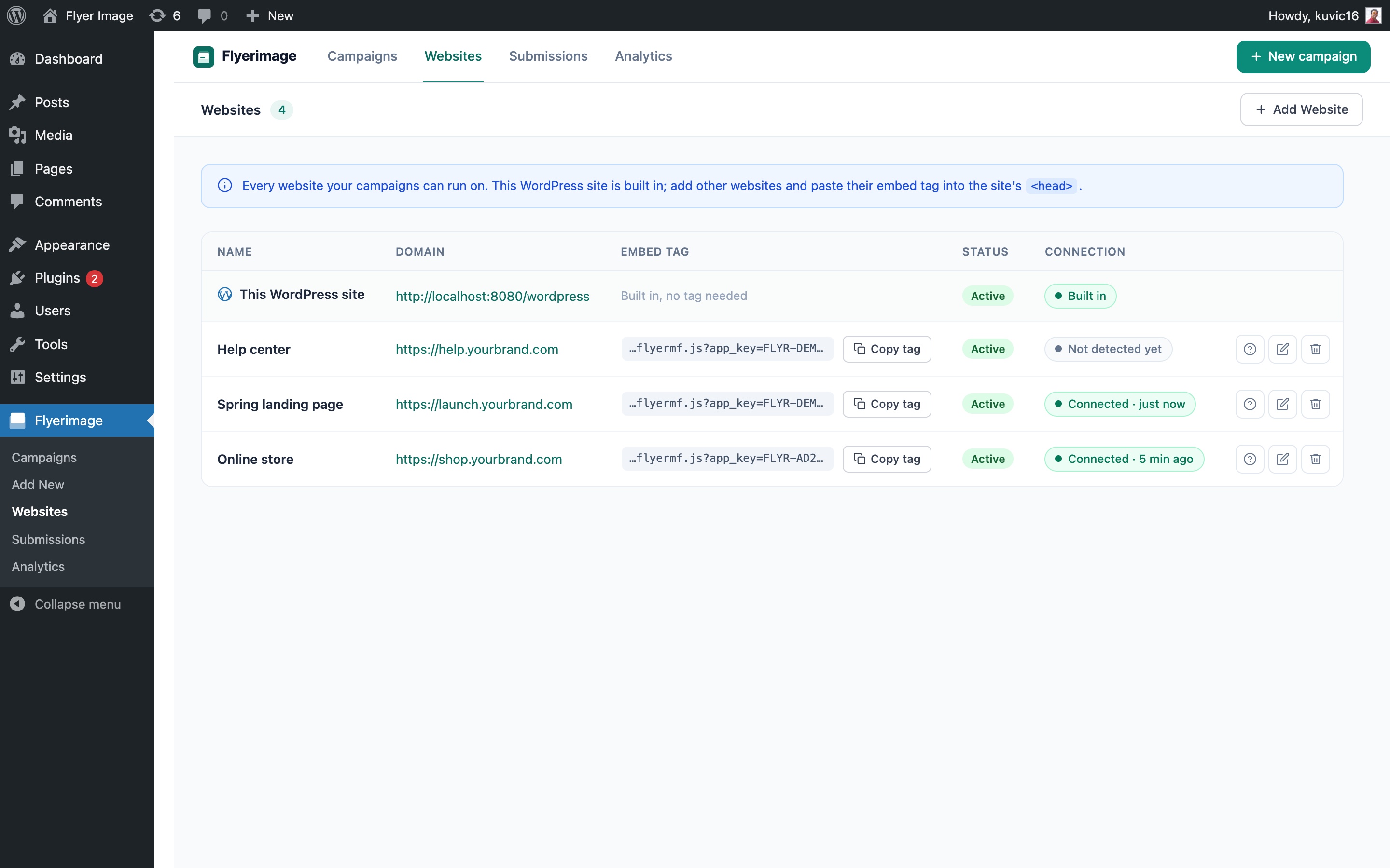 Websites: this WordPress site plus every other website, with live connection status.