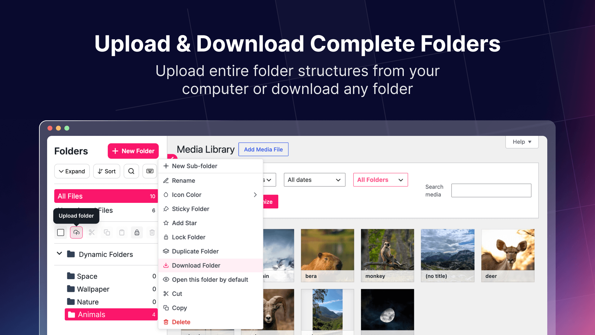 Organize WordPress posts folders