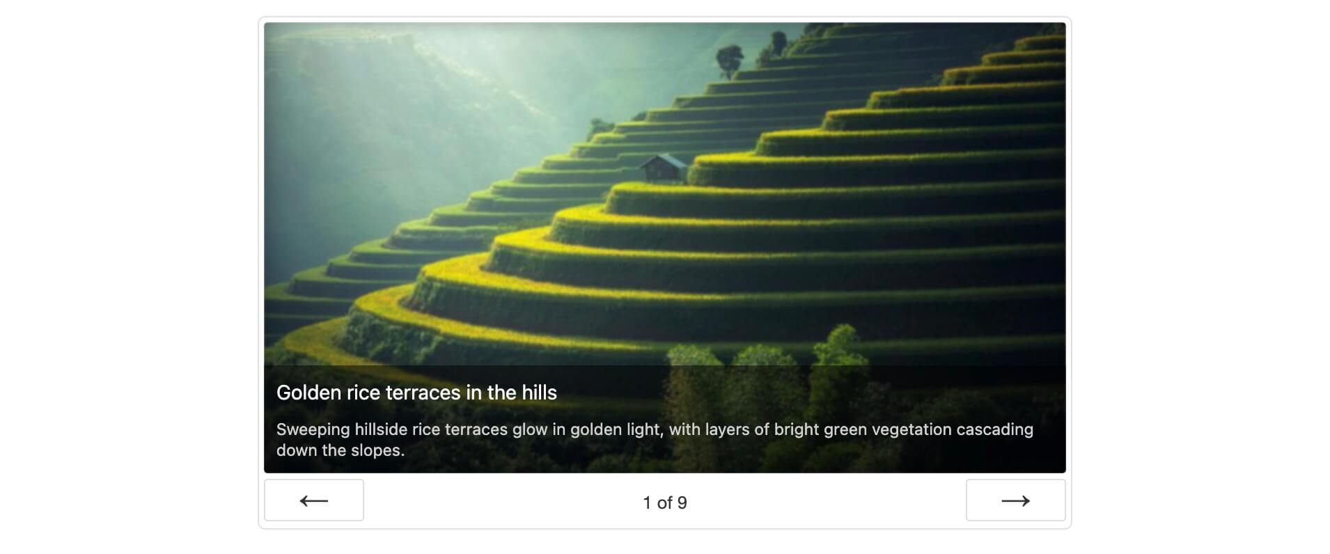 Frontend example with image viewer layout