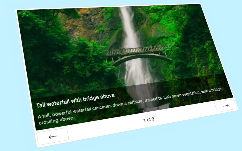 Frontend example with image viewer layout
