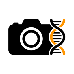 Fotogenic AI 外掛圖示