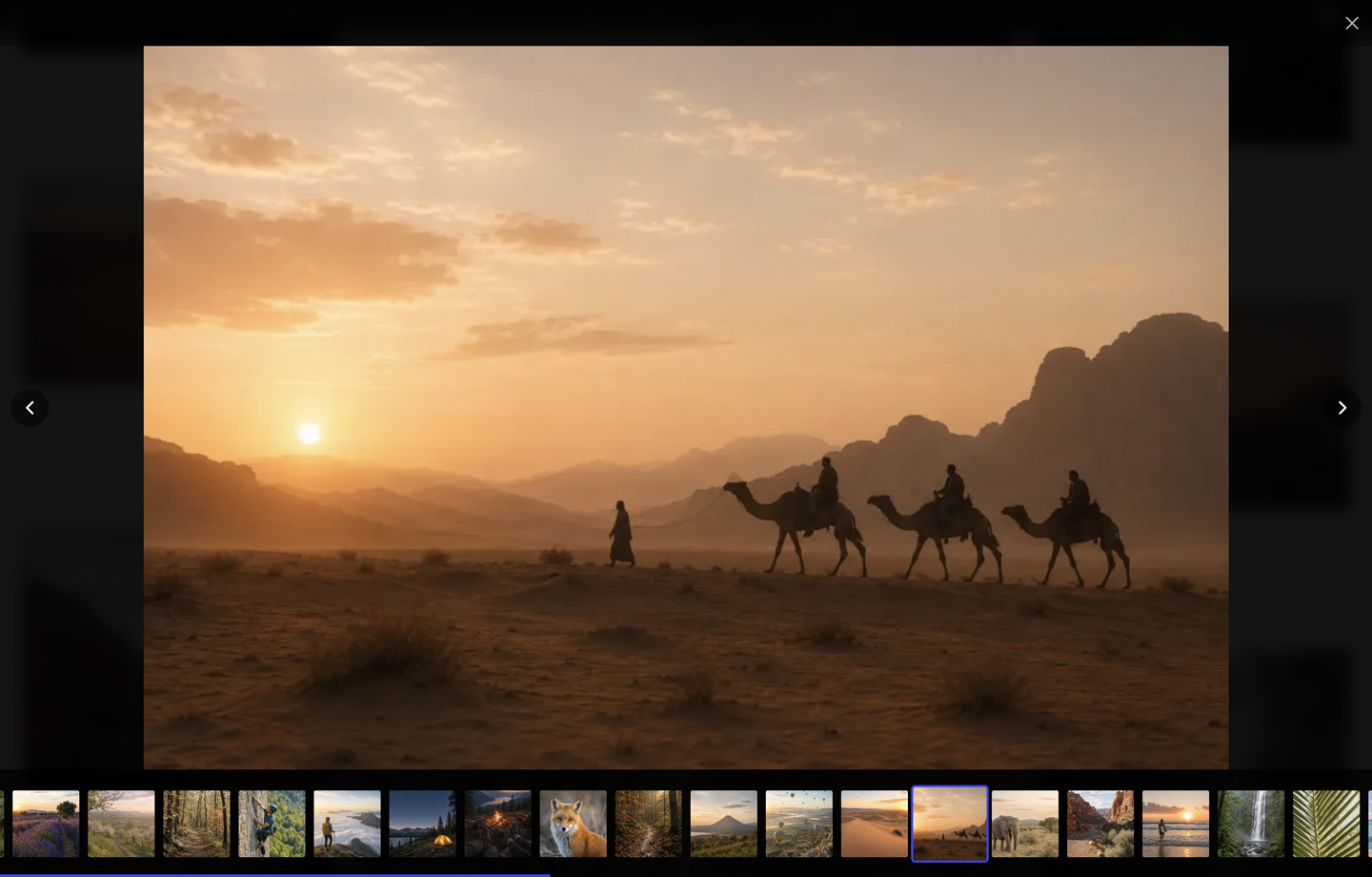 Full-featured lightbox with keyboard navigation and sharing.