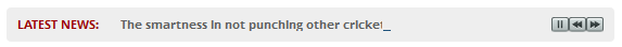 View Frontend of FP News Ticker Widget View.
