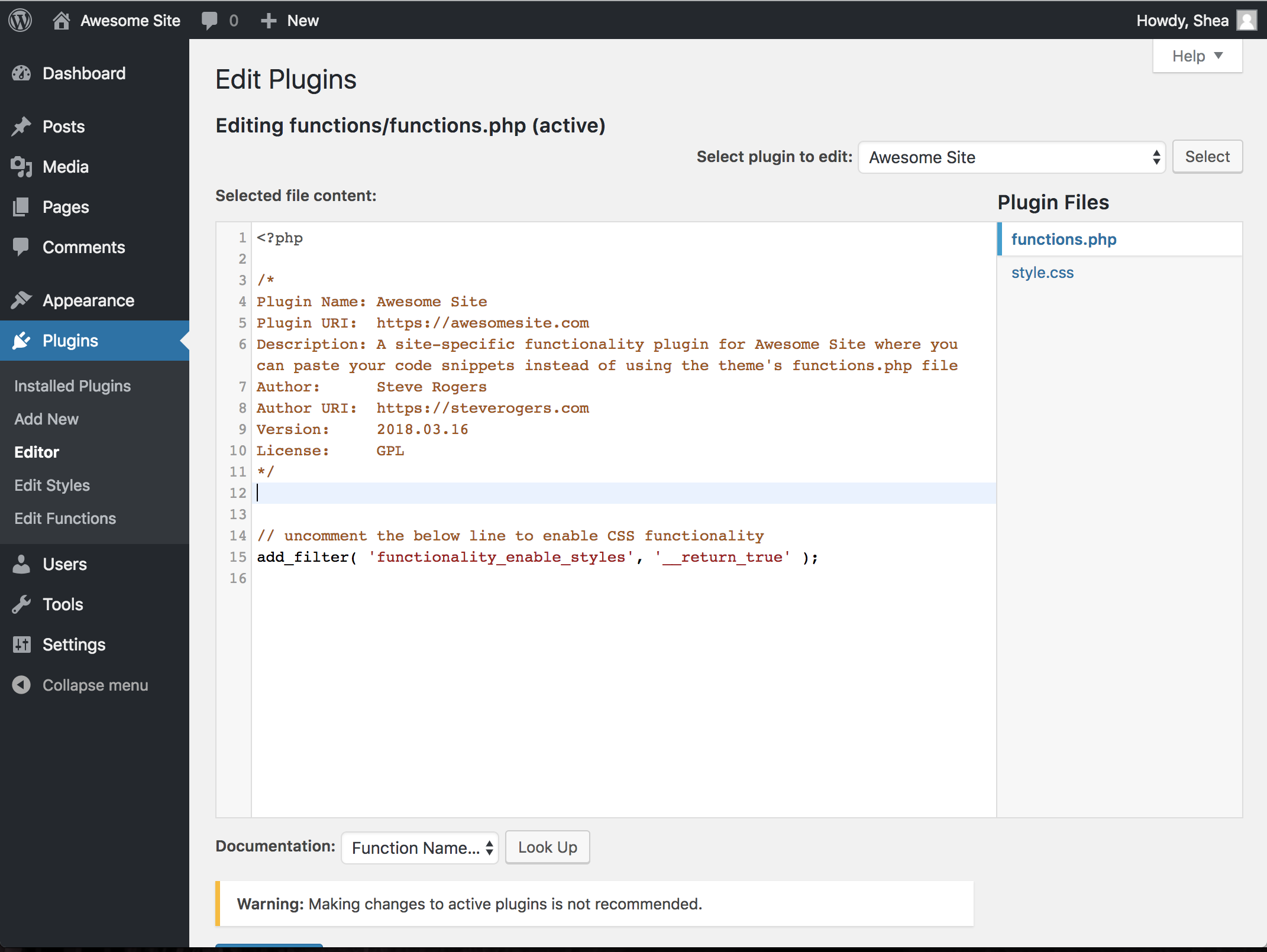 Editing the functionality plugin in the WordPress plugin editor