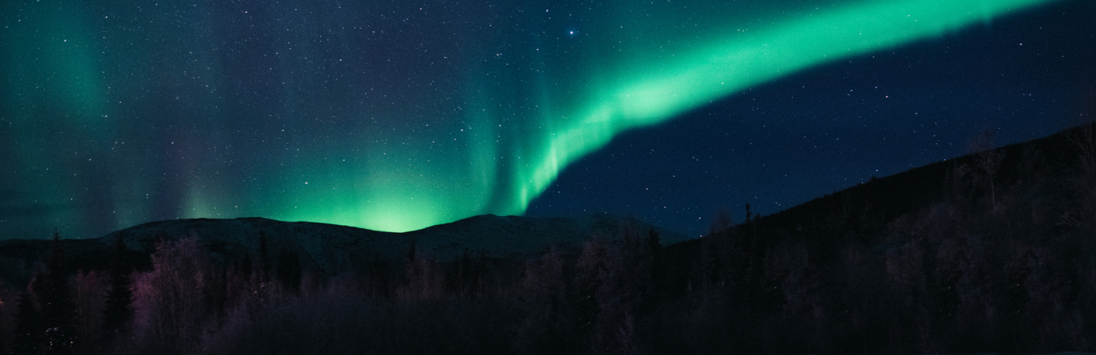 Fusion Page Builder : Extension – Gallery