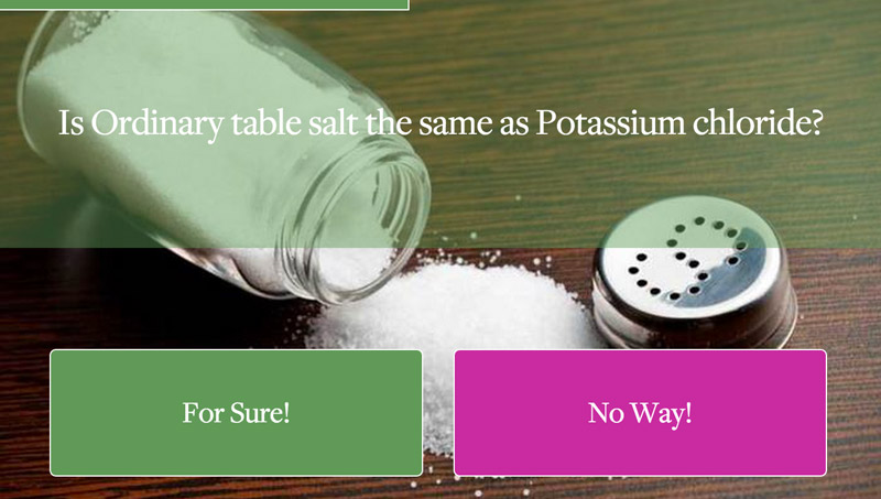 Example of a Yes/No Quiz