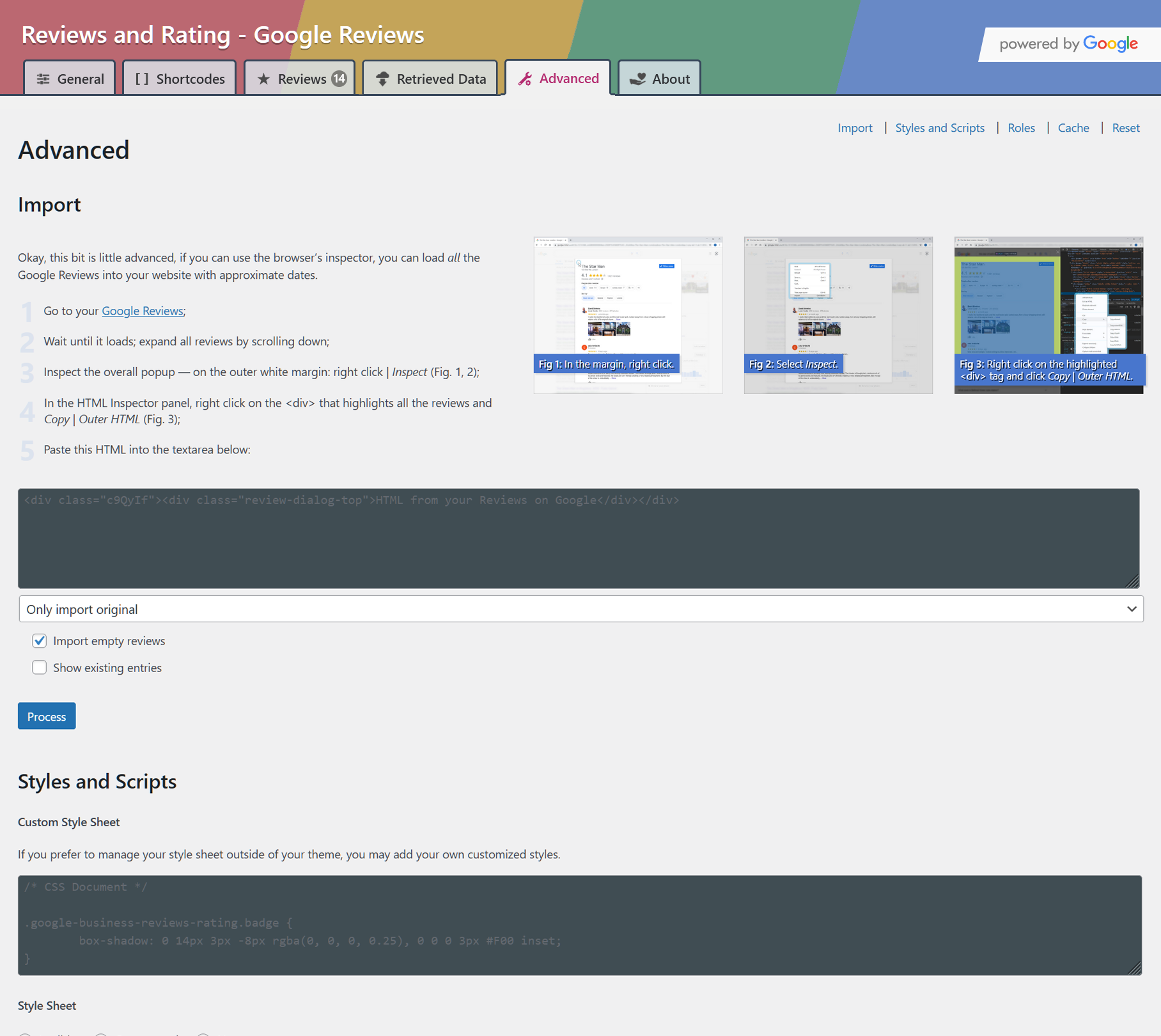 Dashboard view of advanced HTML import, custom styles, script and style preferences, cache clearing and various resets