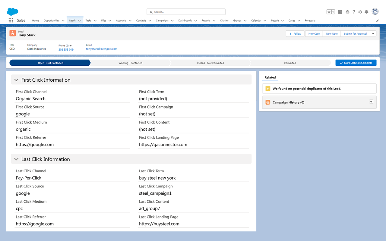 Attribution data in your CRM: a lead record showing the campaign, keyword, source, and first- and last-click details GA Connector filled in automatically.