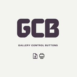 Gallery Control Buttons Icon