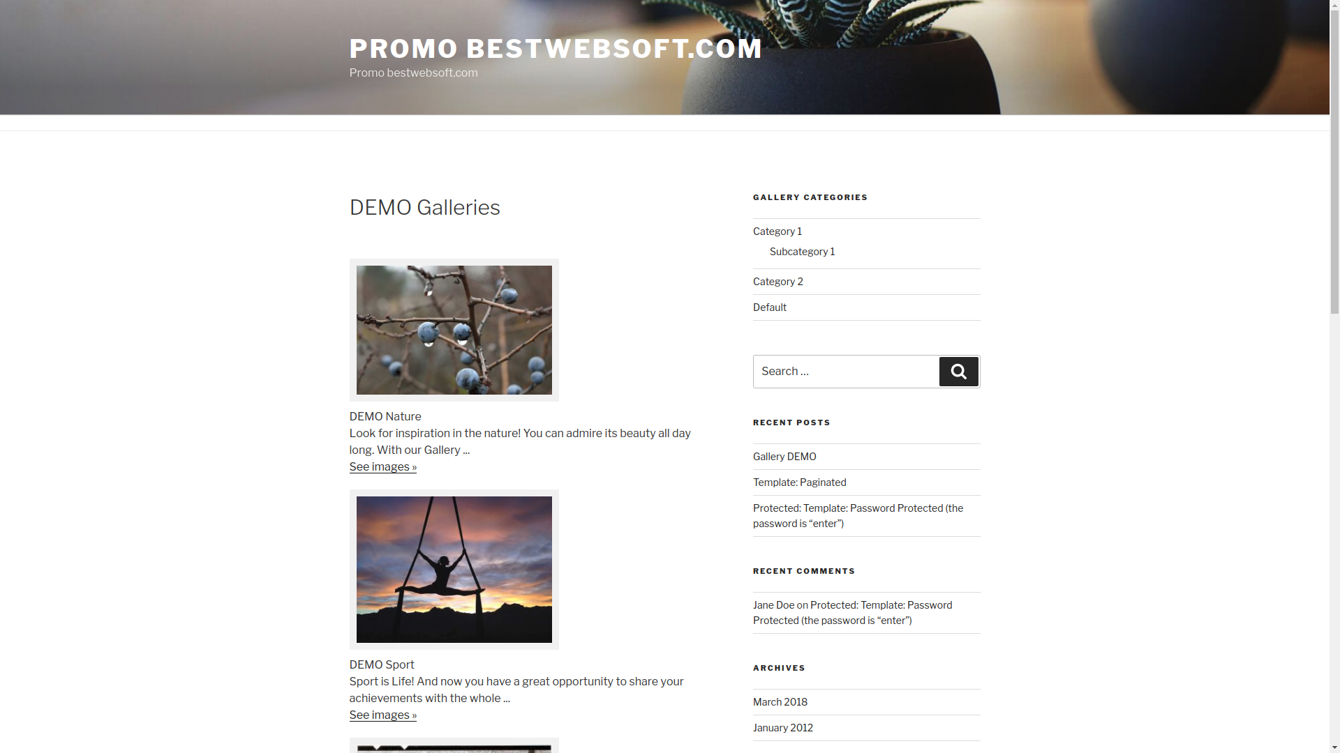 Displaying Gallery Categories Widget in the Sidebar on your WordPress website.