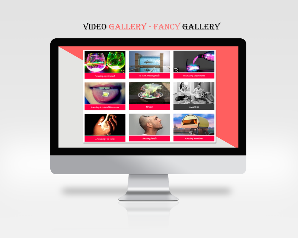 Video Gallery