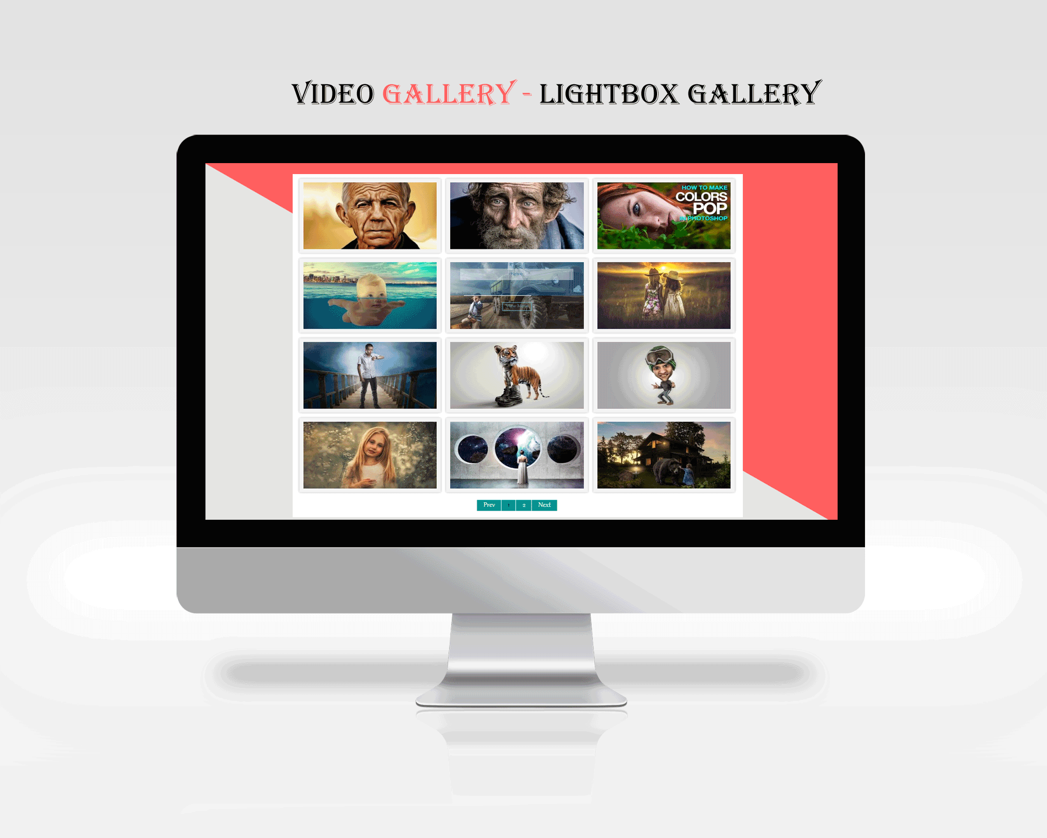 Video Gallery